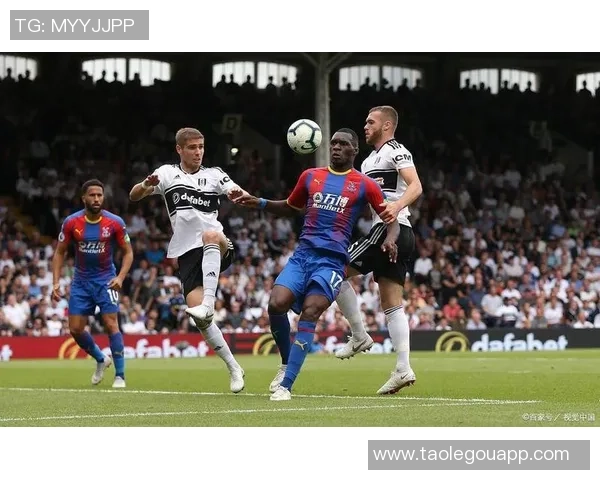 南安普敦迎战水晶宫激战在即12月29日精彩对决值得期待